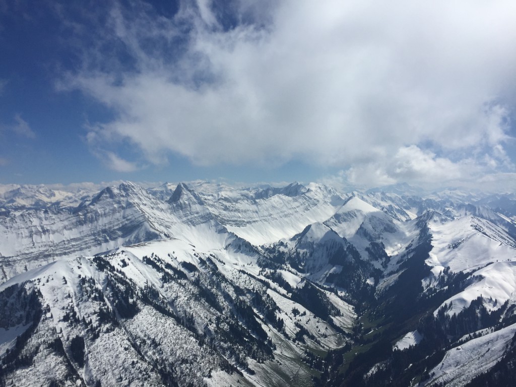 Photo 29.04.16 15 54 55