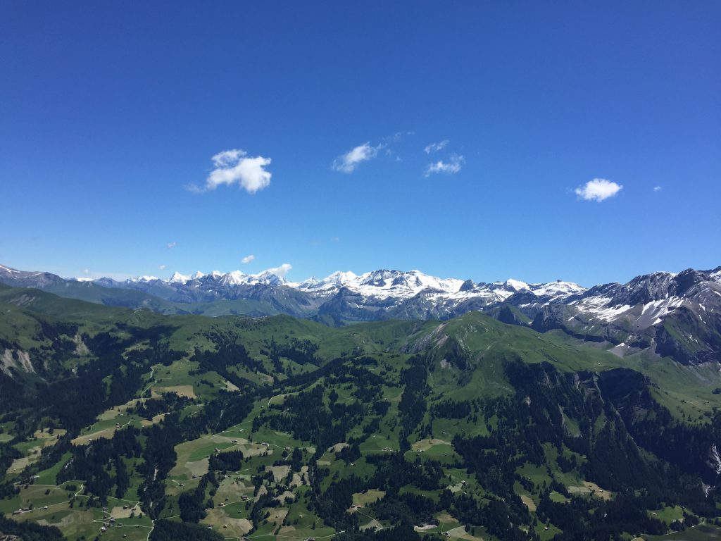 Photo 17.07.16 12 43 22