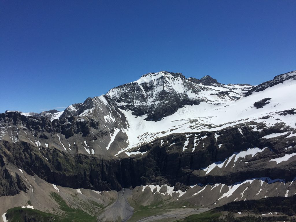 Photo 17.07.16 13 11 50