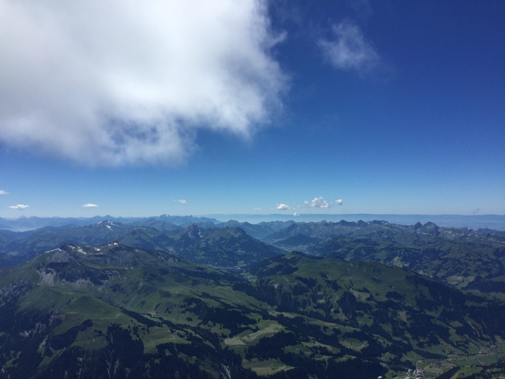 Photo 17.07.16 15 03 26