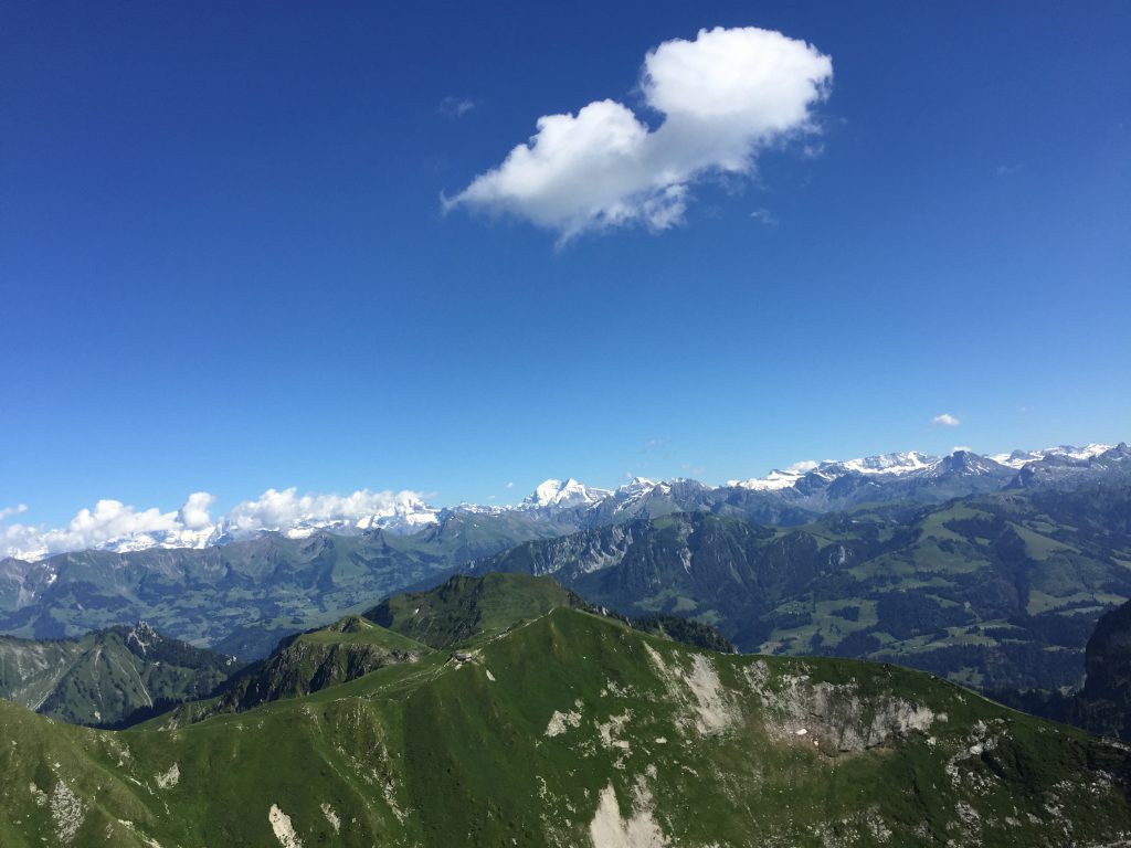 Photo 17.07.16 17 00 02