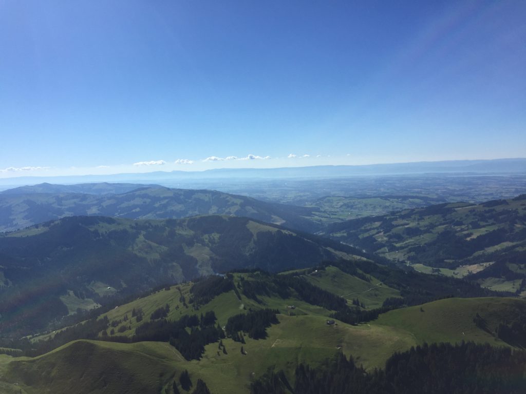 Photo 17.07.16 17 14 58