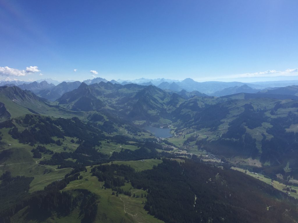 Photo 17.07.16 17 26 15